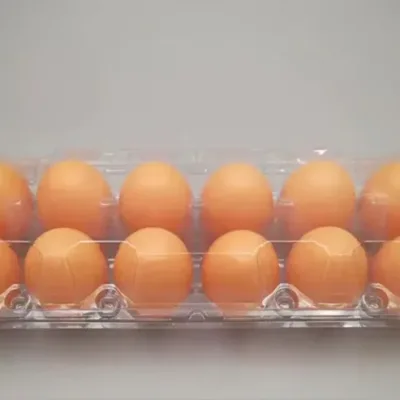 12 Holes Transparent Egg Tray | 100 Pieces