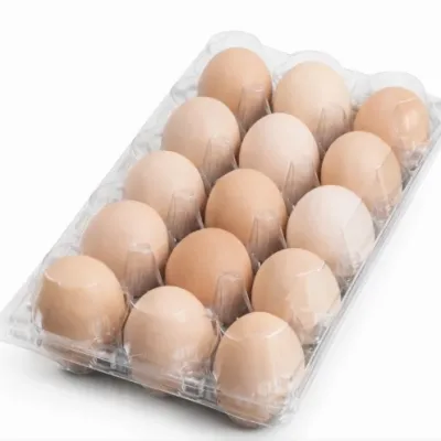 15 Holes Transparent Egg Tray | 100 Pieces