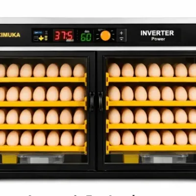 Automatic Egg Incubator with Inverter | 180 Egg Capacity