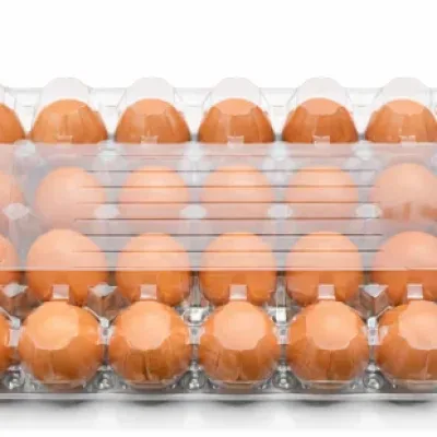 24 Holes Transparent Egg Crate | 100 Pieces