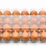 24 Holes Transparent Egg Crate | 100 Pieces