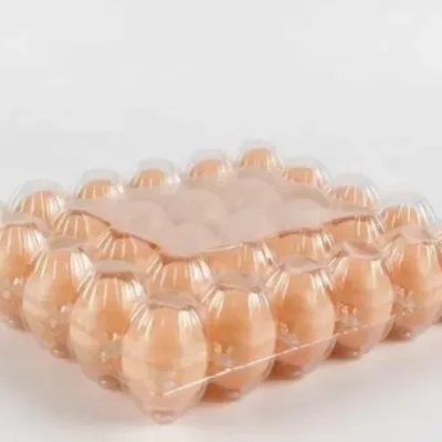 30 Holes Egg Tray | 100 Pieces