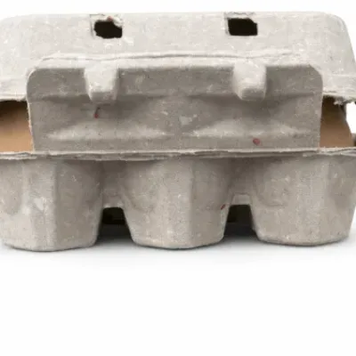 6 Holes Paper Egg Crates | 100 Pieces