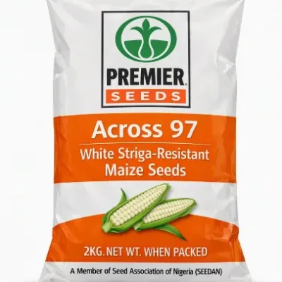 Across 97 White Striga-Resistant Maize Seeds | 2kg