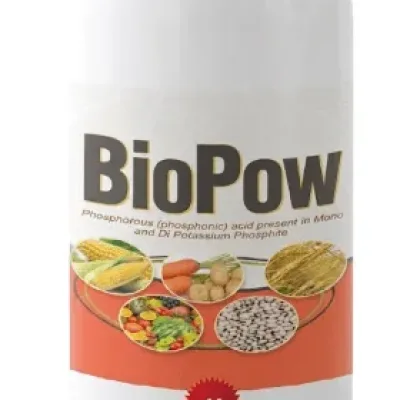 Biopow Organic Systemic Fungicide | 1l