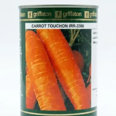 Griffaton Carrot Touchon IRR-3360 Seed