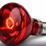 Electric Infrared Bulb