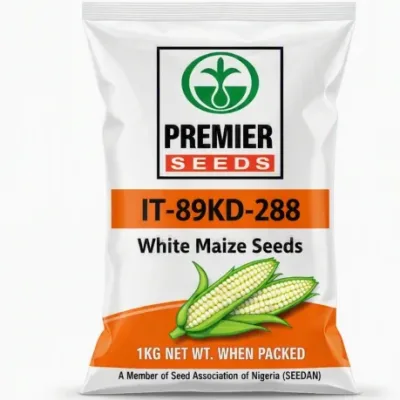IT-89KD-288 White Maize Seeds | 1kg