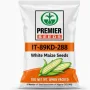 IT-89KD-288 White Maize Seeds | 1kg