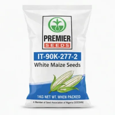 IT-90K-277-2 White Maize Seeds | 1kg