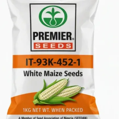 IT-93K-452-1 White Maize Seeds | 1kg
