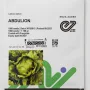 Lettuce Abdulion Iceberg | 1000 Seeds