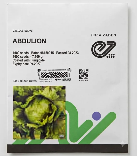 Lettuce Abdulion Iceberg | 1000 Seeds