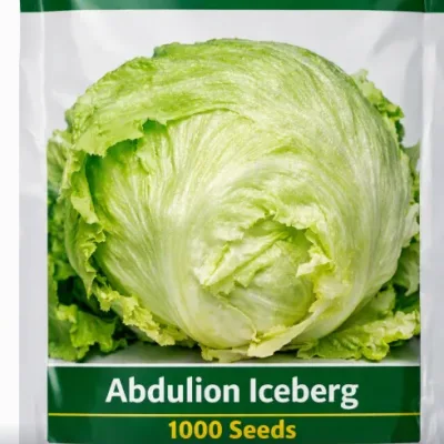 Lettuce Abdulion Iceberg | 1000 Seeds