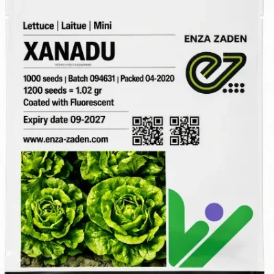 Lettuce Xanadu Romaine Mini | 1000 Seeds