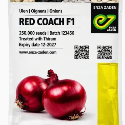 Onion Red Coach F1 | 25,000 Seeds