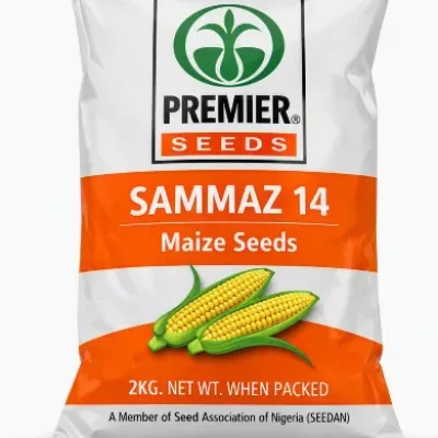 SAMMAZ 14 Maize Seeds | 2kg