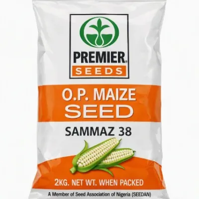 SAMMAZ 38 Maize Seeds | 2kg