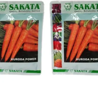 Sakata Kuroda Carrot Seed