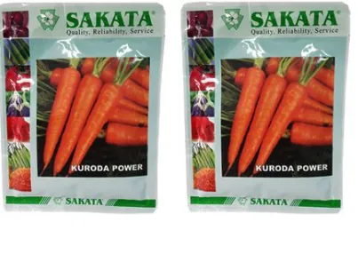 Sakata Kuroda Carrot Seed
