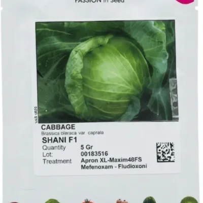 Sakata Shani F1 Cabbage Seed