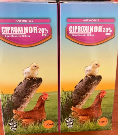 Ciproxinor antibiotic for poultry
