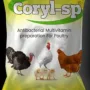 Coryl SP Feed Supplement