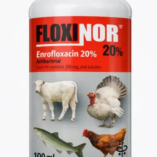 Floxinor (Enrofloxacin Antibiotic) |1L