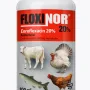 Floxinor (Enrofloxacin Antibiotic) |1L