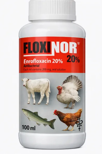 Floxinor (Enrofloxacin Antibiotic) |1L