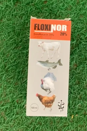 Floxinor antibiotic