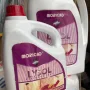 Morigad Lysol Disinfectant  | 2L