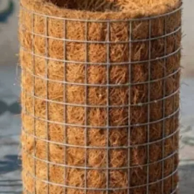 Natural Unbuffered Coco Pot (11by 7 cm)