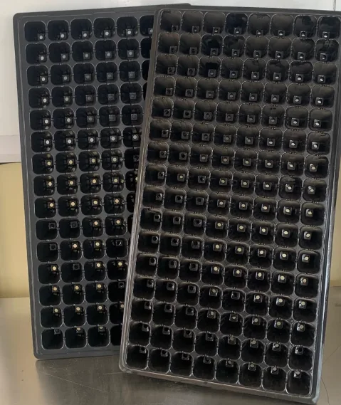 Seed Trays (105, 128 & 200 Holes)(MOQ: 5 Trays)