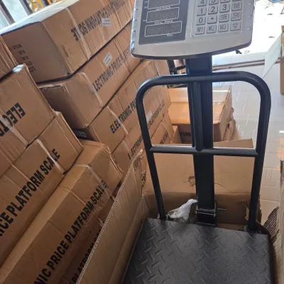 Electric Price Platform Weighing Scale 100kg