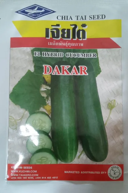 F1 Hybrid Cucumber Dakar – 50g