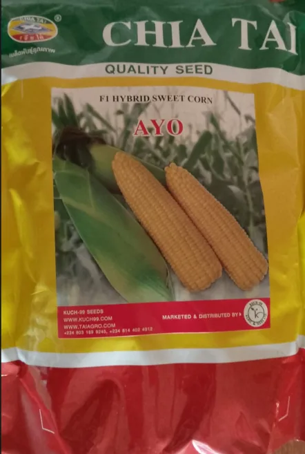 F1 Hybrid Sweet Corn AYO – 200g