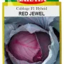 Red Jewel Cabbage -1000Seeds